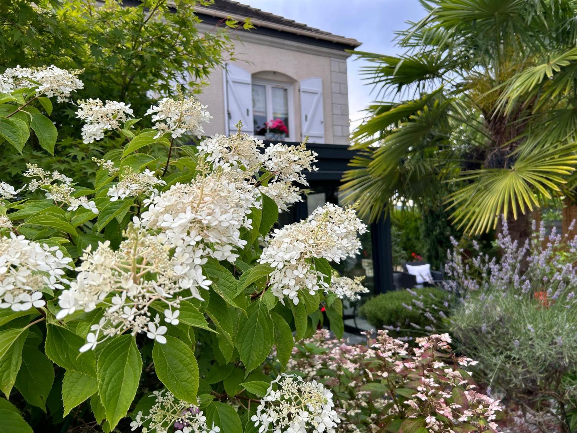 Les Suites Champenoises Tinqueux Dış mekan fotoğraf